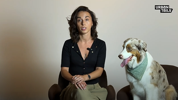 ურბან თეილსის ინფლუენსერი ცუგა ელი | თიკო ზურაბაშვილი