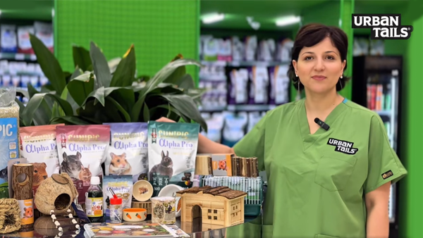 მღრღნელების ასორტიმენტი ურბან თეილსში