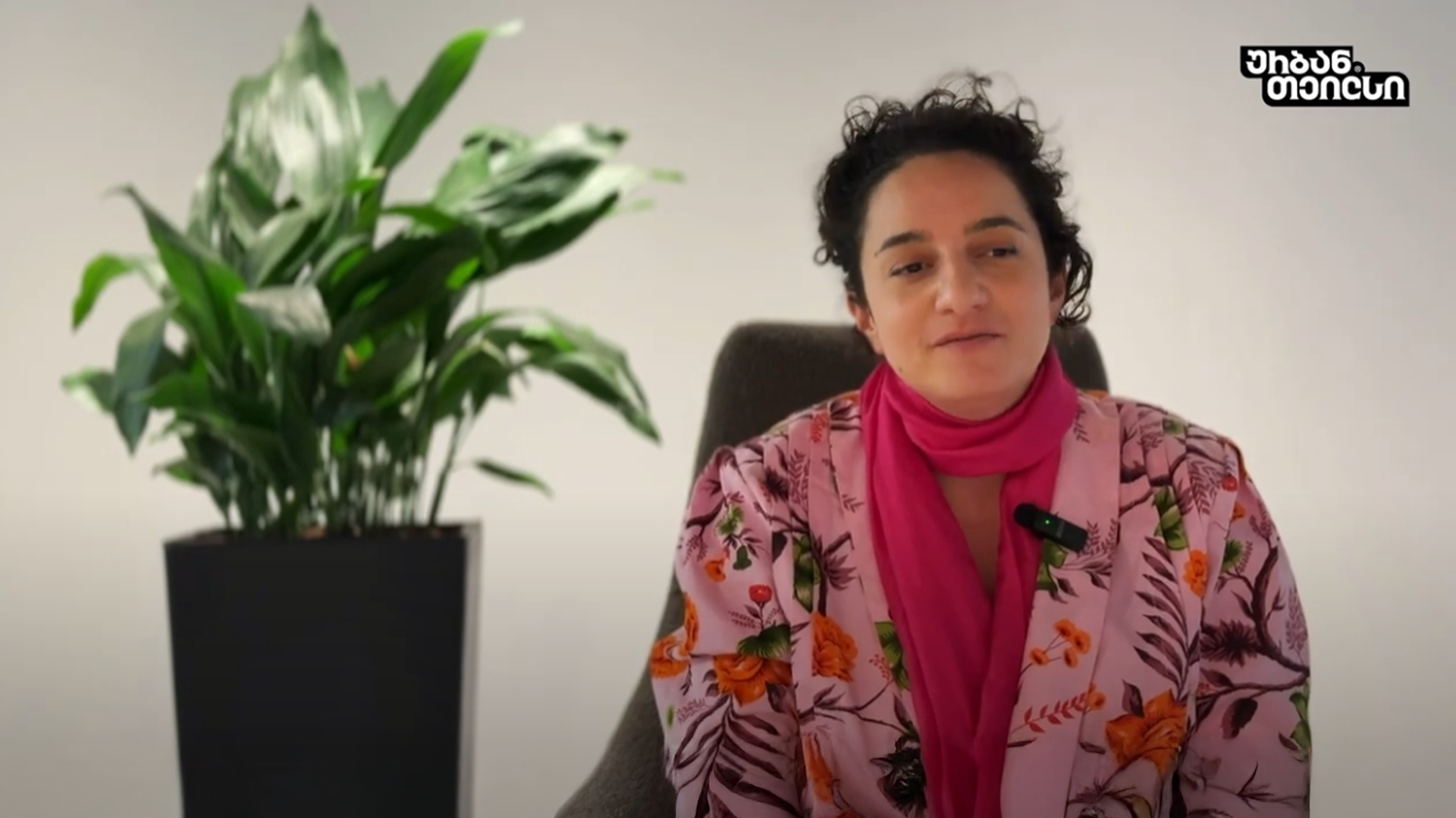 ცხოველთა სასწრაფო დახმარება რინგოვეტი | ნესტან მამაცაშვილი