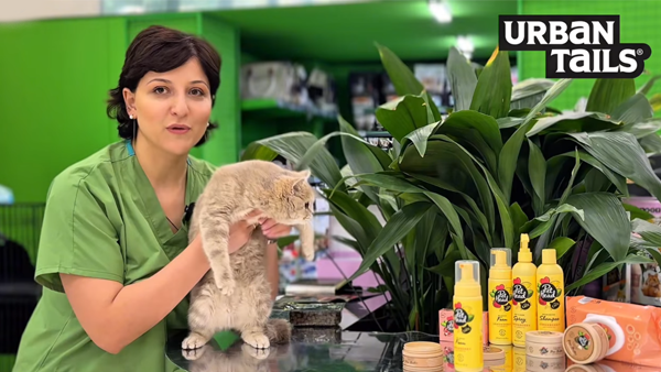 გრუმინგი სახლის პირობებში