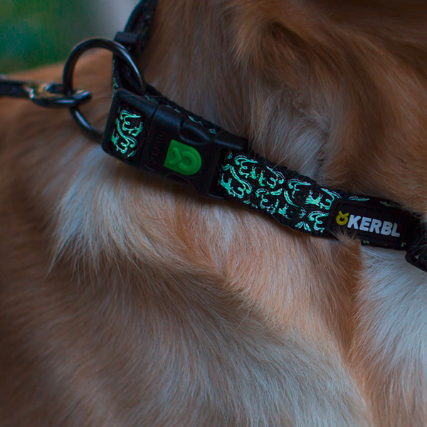 საყელო ძაღლებისთვის Kerbl Shiny Night 45X65