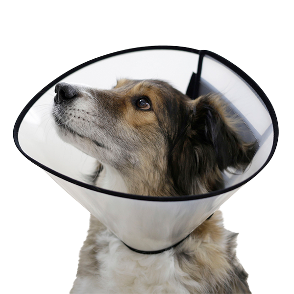 ვეტერინარული საყელო Kerbl Surgical Collar 7.5