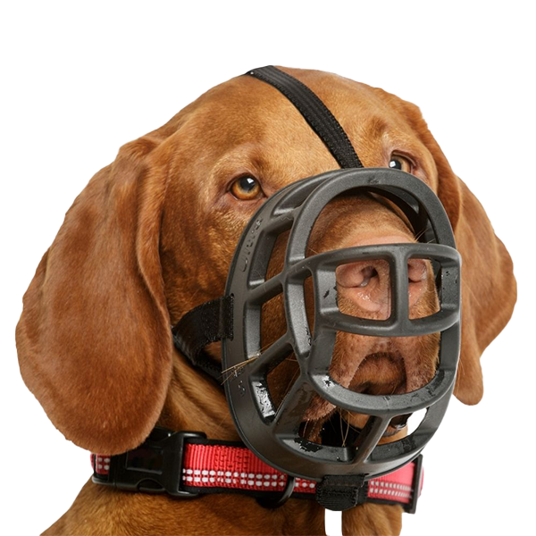 ბასკერვილი ალიკაპი ძაღლებისთვის ULTRA ზომა 4 (S)